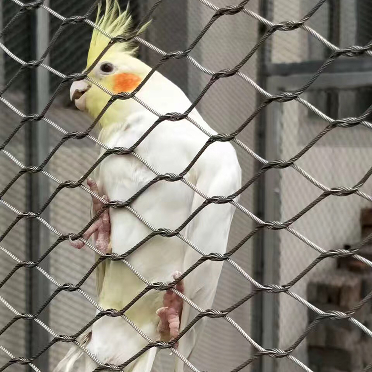 鳥語林專用網